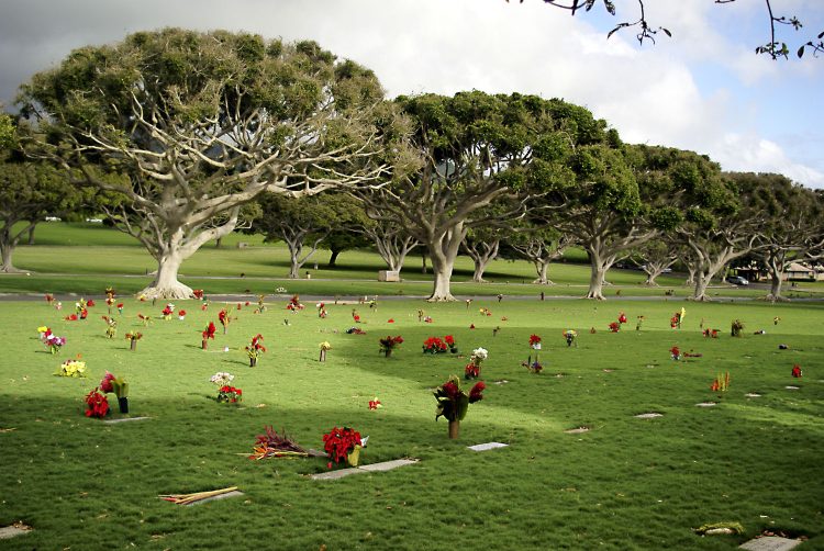 Hawaï Oahu Honolulu Waikiki