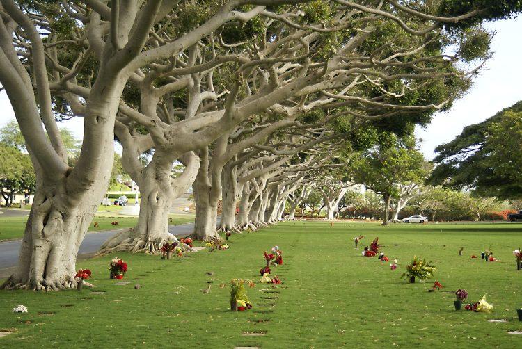 Hawaï Oahu Honolulu Waikiki