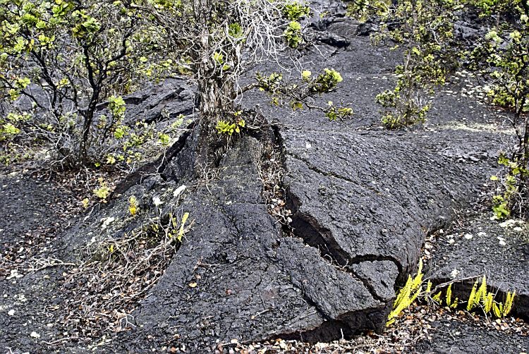 Hawaï BigIsland Volcan Kilaueha Volcanisme Caldeira Lave