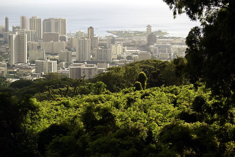 Hawaï Oahu Honolulu Waikiki