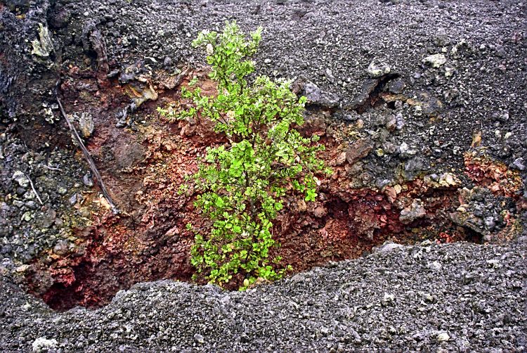 Hawaï BigIsland Volcan Kilaueha Volcanisme Caldeira Lave