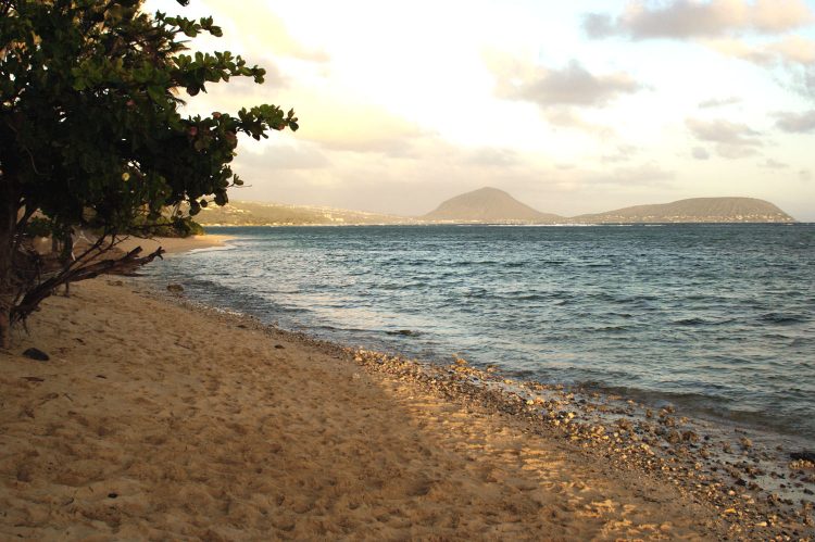 Hawaï Oahu Honolulu Waikiki