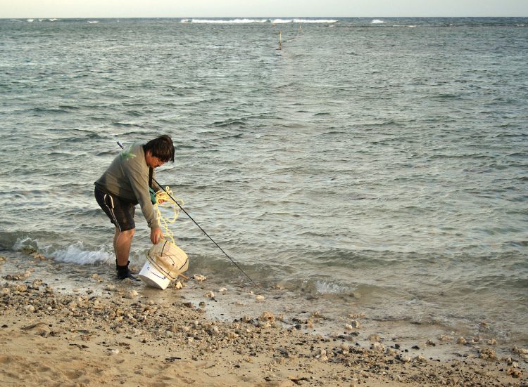 Hawaï Oahu Honolulu Waikiki