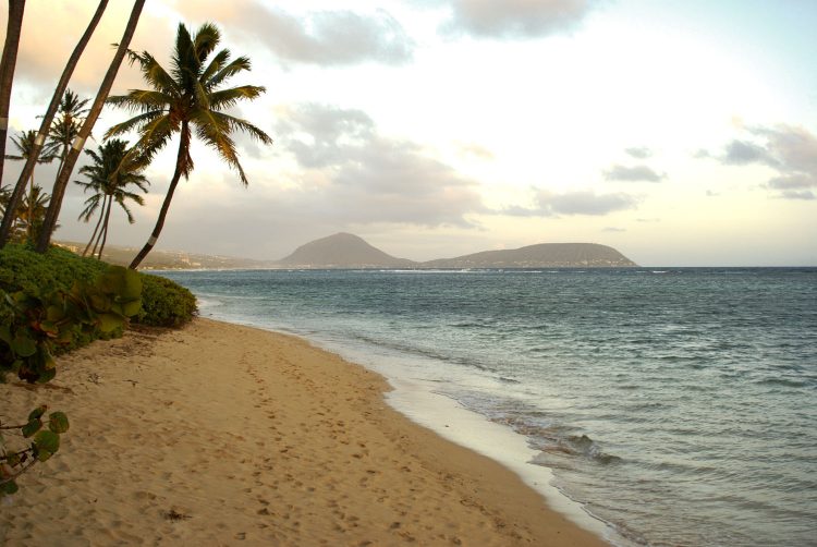 Hawaï Oahu Honolulu Waikiki