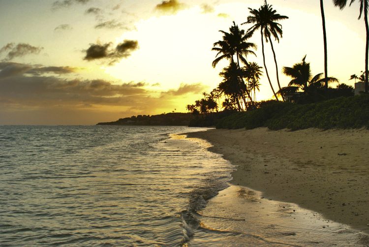 Hawaï Oahu Honolulu Waikiki