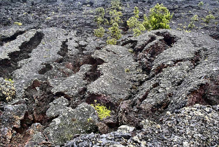 Hawaï BigIsland Volcan Kilaueha Volcanisme Caldeira Lave