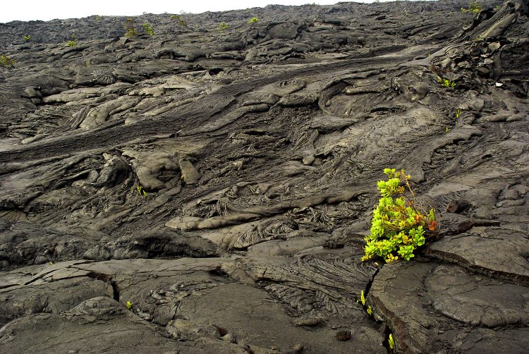 Hawaï BigIsland Volcan Kilaueha Volcanisme Caldeira Lave