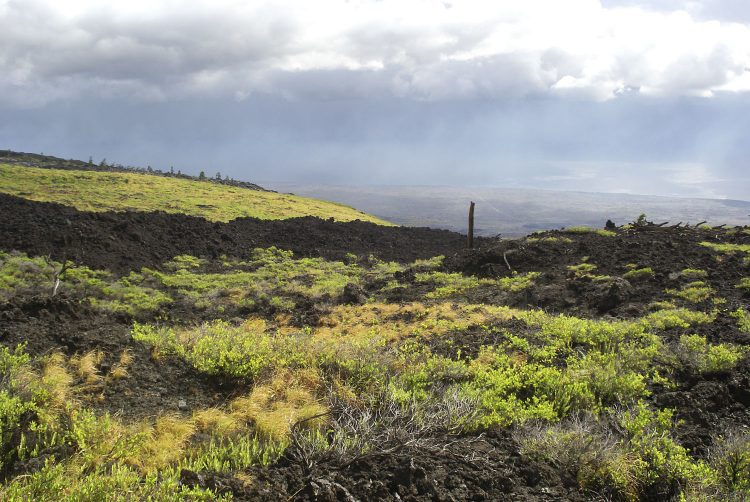 Hawaï BigIsland Volcan Kilaueha Volcanisme Caldeira Lave