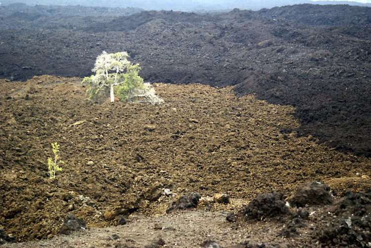 Hawaï BigIsland Volcan Kilaueha Volcanisme Caldeira Lave
