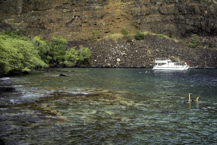 Kealakekua bay James Cook Snorkeling Corail Plage