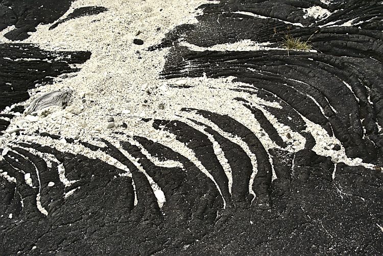 Kealakekua bay James Cook Snorkeling Corail Plage