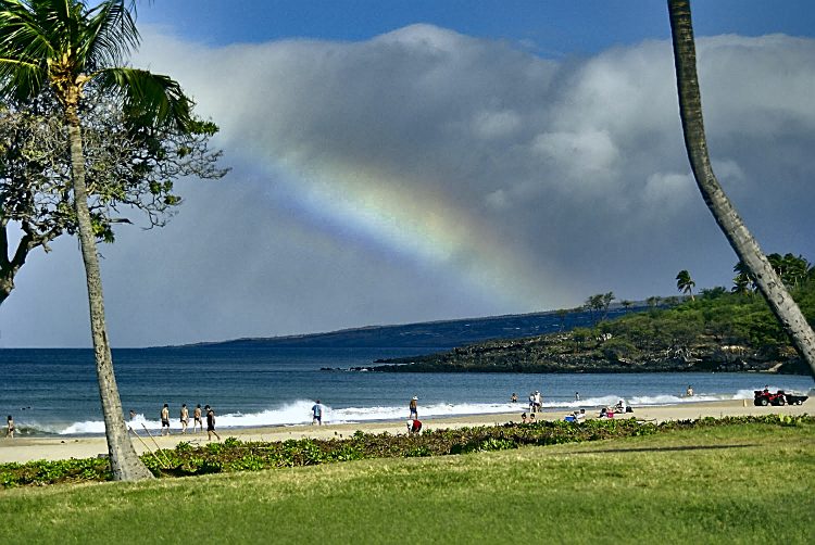 Kealakekua bay James Cook Snorkeling Corail Plage Rainbow