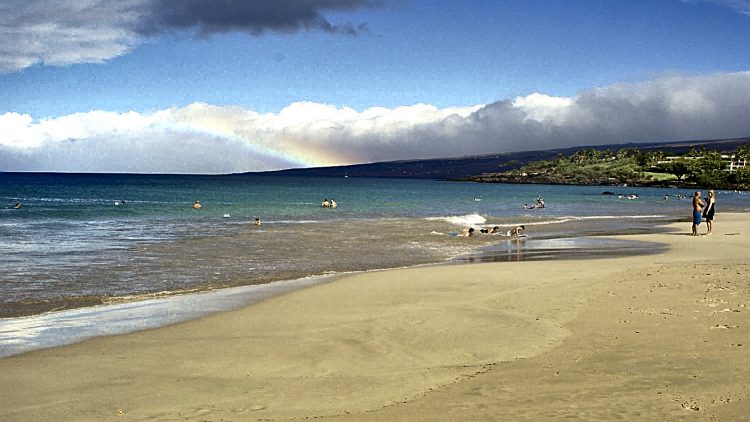 Kealakekua bay James Cook Snorkeling Corail Plage Rainbow