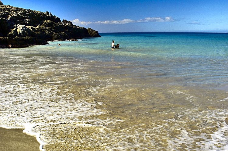 Kealakekua bay James Cook Snorkeling Corail Plage