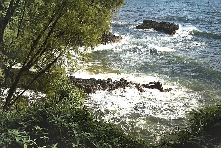 Hilo Hawaï Coye Ouest Au vent Cascade