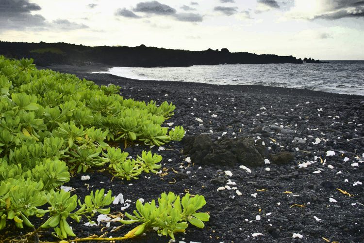 Koahala Coast Hawaï Big Island