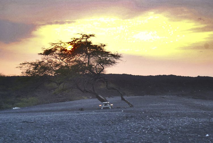 Koahala Coast Hawaï Big Island