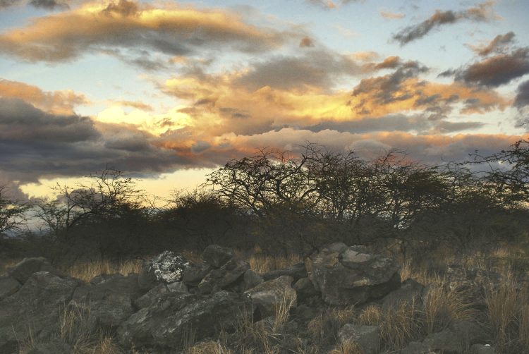 Koahala Coast Hawaï Big Island