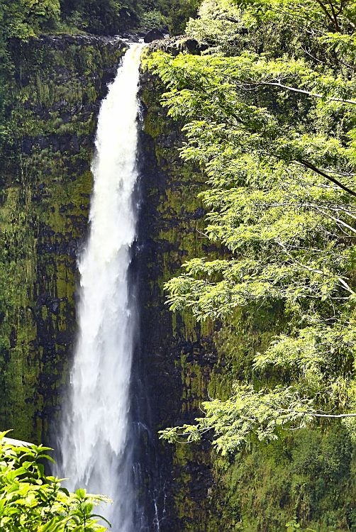 Hilo Hawaï Coye Ouest Au vent Cascade