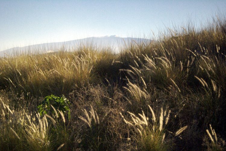 Mauna Kea Big Island Hawaï Cratère Coucher de soleil Sunset
