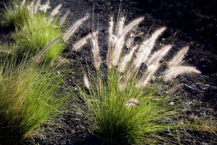 Mauna Kea Big Island Hawaï Cratère Coucher de soleil Sunset