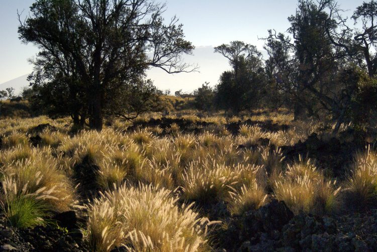 Mauna Kea Big Island Hawaï Cratère Coucher de soleil Sunset