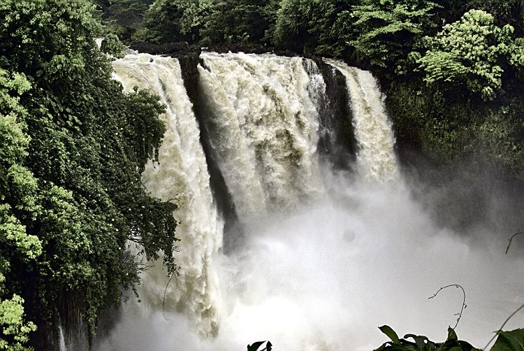 Hilo Hawaï Coye Ouest Au vent Cascade