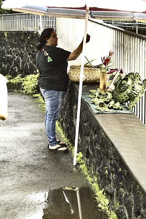 Hilo Hawaï Coye Ouest Au vent Cascade