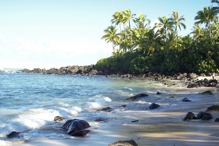 Hawaï Oahu Plage Corail Coucher de Soleil Sunset Beach Bay Turtle bay