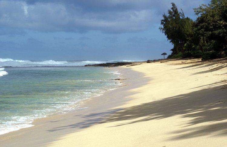 Hawaï Oahu Plage Corail Coucher de Soleil Sunset Beach Bay Turtle bay