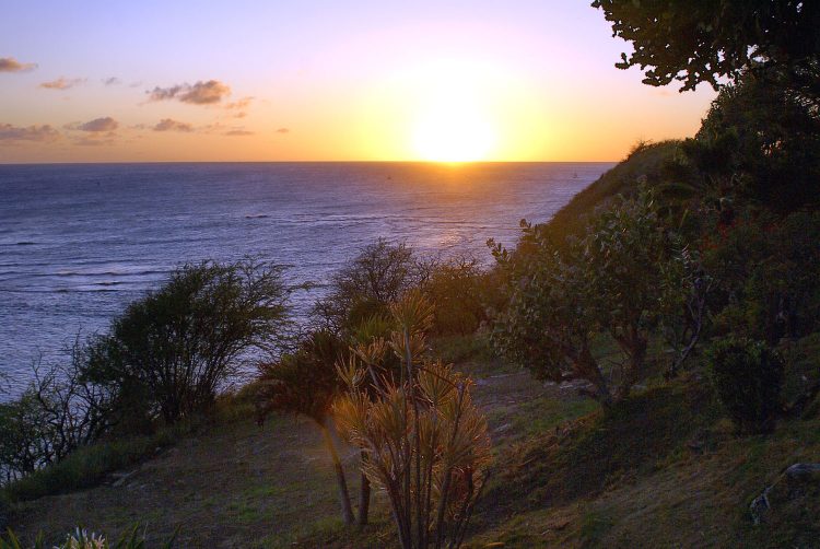 Hawaï Oahu Honolulu Waikiki
