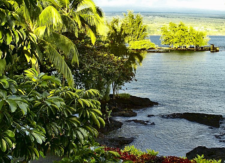 Hilo Hawaï Coye Ouest Au vent Cascade