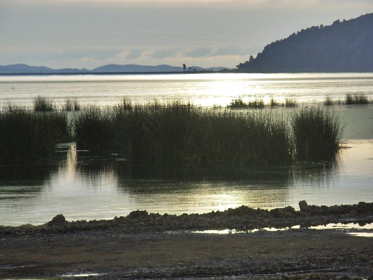 Pérou Puno Titicaca ÎlesUros Tours funéraires Sillustani