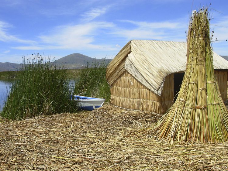 Pérou Puno Titicaca ÎlesUros Tours funéraires Sillustani