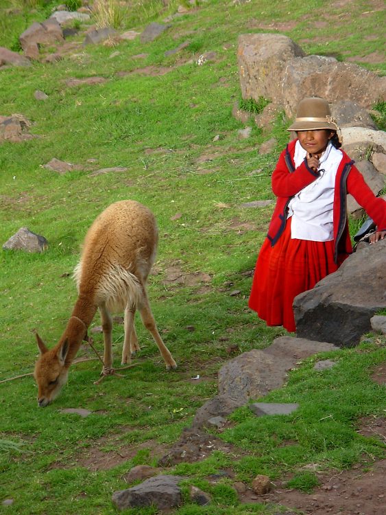 Pérou Puno Titicaca ÎlesUros Tours funéraires Sillustani