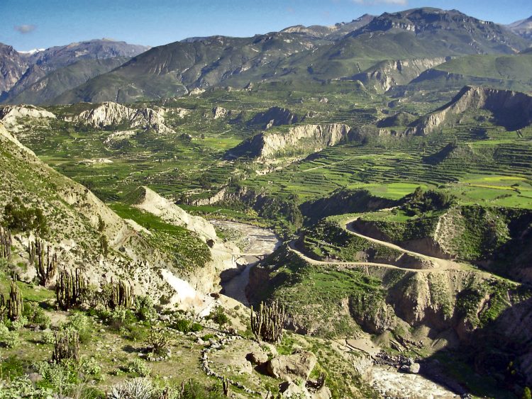 Pérou Peru Aréquipa Misti Chachani Monastère Santa Catalina Chivay Canyon Colca Lagunes Altitude