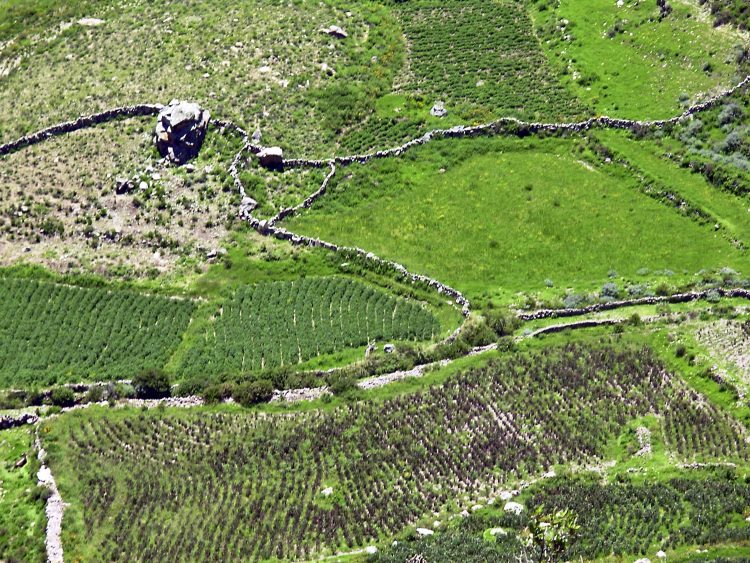 Pérou Peru Aréquipa Misti Chachani Monastère Santa Catalina Chivay Canyon Colca Lagunes Altitude