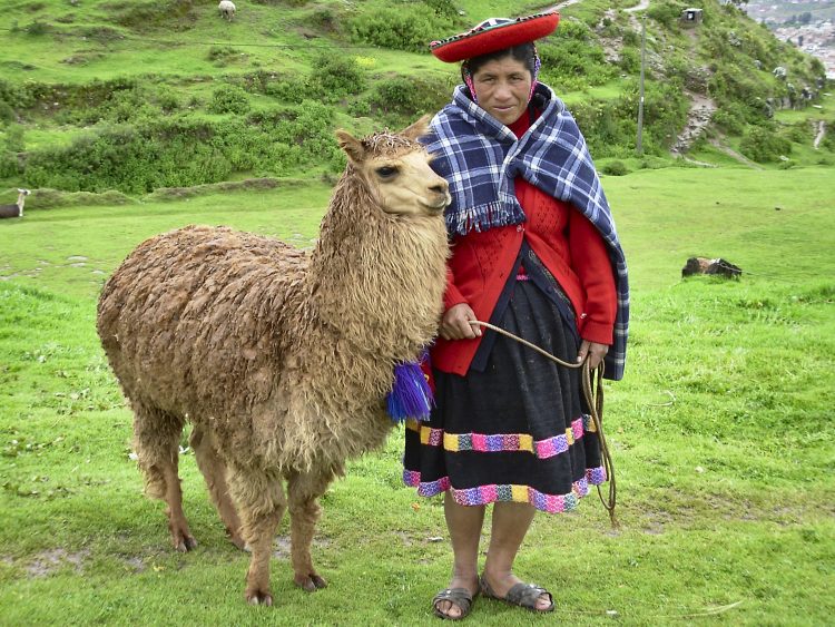 Cuzco Pérou Incas Vallée sacrée Machu Pichu