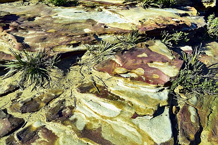 Images Sydney Roches Grès bigarrés