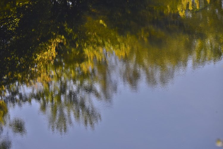 Cingle de Montfort Couleurs Automne Rivière Dordogne Reflets
