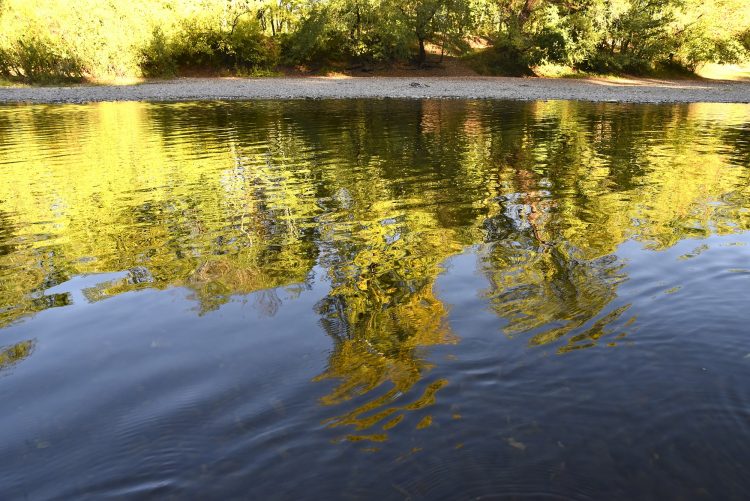 Cingle de Montfort Couleurs Automne Rivière Dordogne Reflets