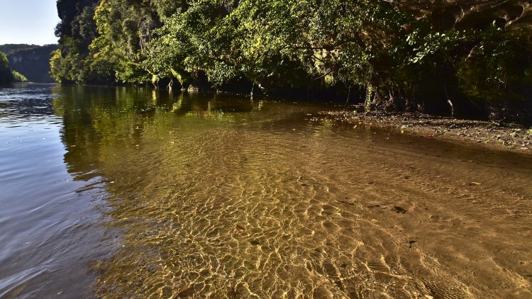 Cingle de Montfort Couleurs Automne Rivière Dordogne Reflets