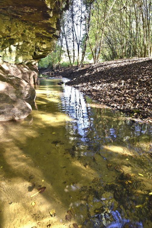 Cingle de Montfort Couleurs Automne Rivière Dordogne Reflets
