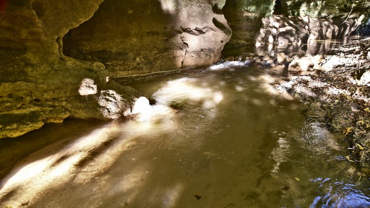 Cingle de Montfort Couleurs Automne Rivière Dordogne Reflets