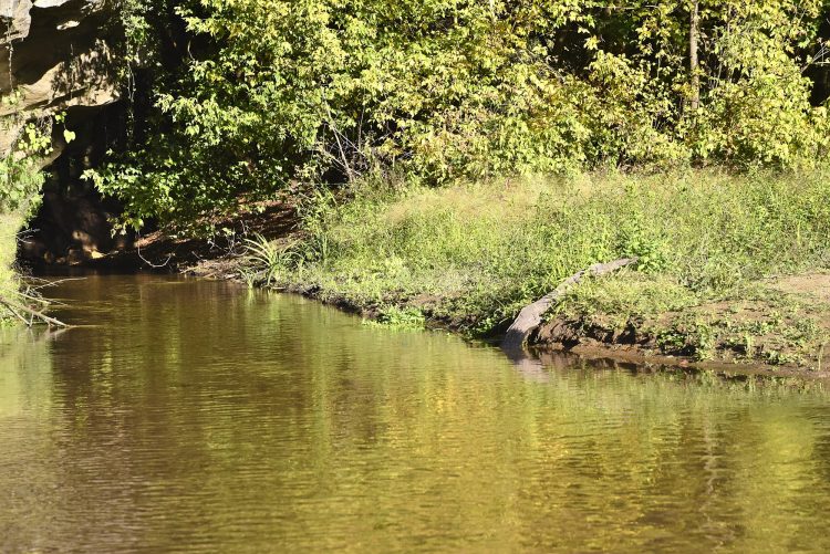 Cingle de Montfort Couleurs Automne Rivière Dordogne Reflets