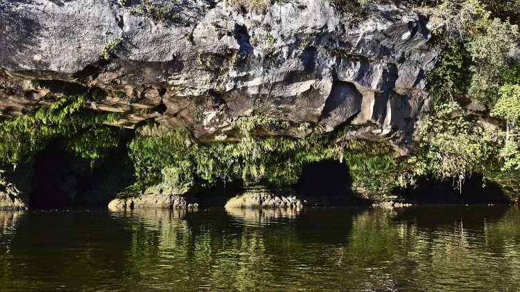 Cingle de Montfort Couleurs Automne Rivière Dordogne Reflets