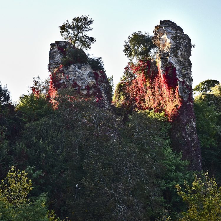 Cingle de Montfort Couleurs Automne Rivière Dordogne Reflets