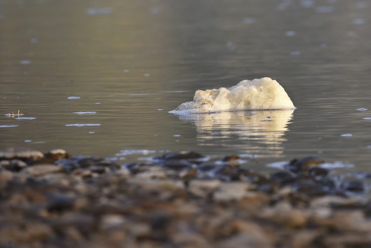 Rivière Dordogne Brume Lever Soleil Couleur Automne Cingle de Montfort Château Reflets