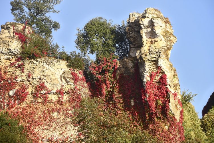 Rivière Dordogne Brume Lever Soleil Couleur Automne Cingle de Montfort Château Reflets
