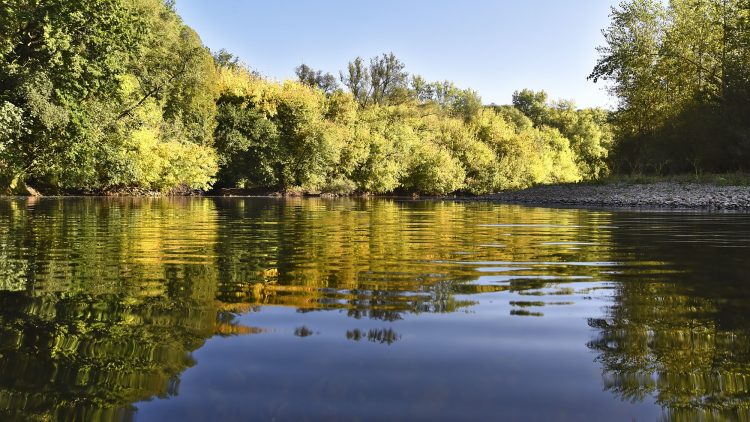 Rivière Dordogne Brume Lever Soleil Couleur Automne Cingle de Montfort Château Reflets